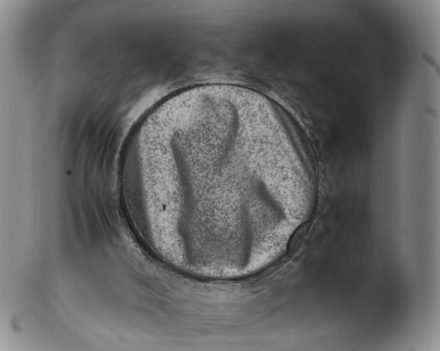 X0000103160008200809121848