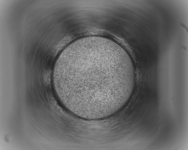 X0000103160010200809121848