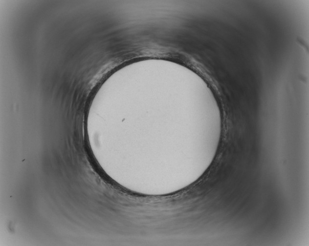 X0000103160011200809121848