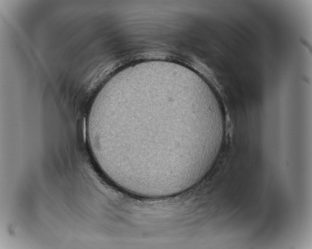 X0000103160013200809121848