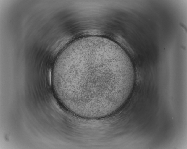 X0000103160014200809121848