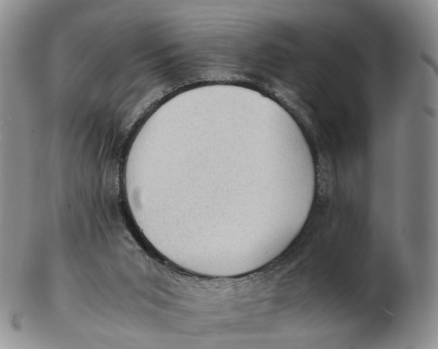 X0000103160015200809121848