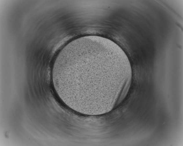 X0000103160016200809121848