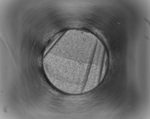 X0000103160017200809121848