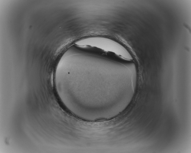 X0000103160019200809121848