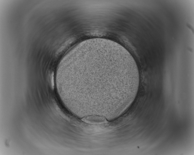 X0000103160020200809121848