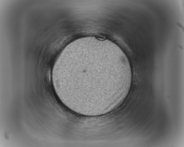 X0000103160021200809121848