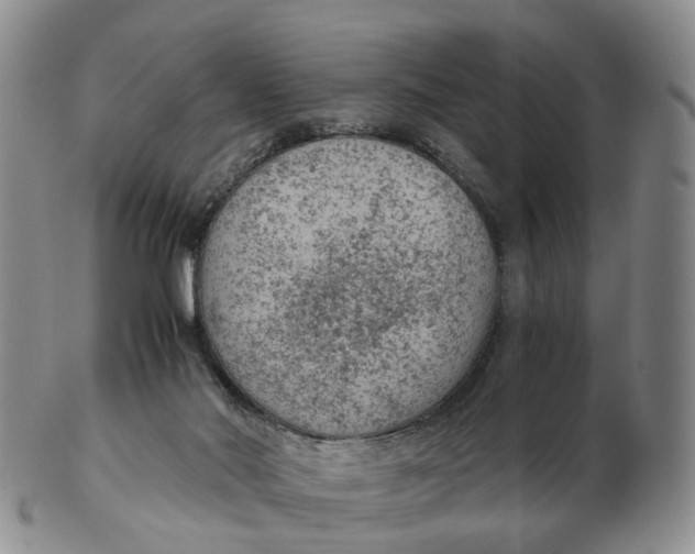 X0000103160022200809121848