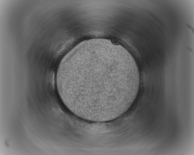 X0000103160024200809121848