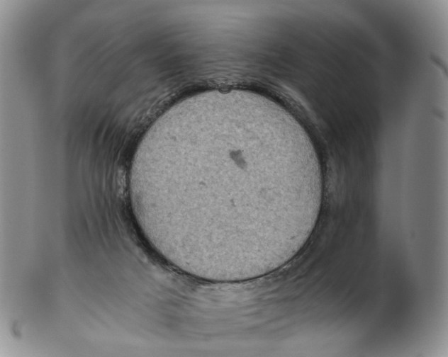 X0000103160025200809121848