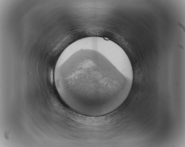 X0000103160027200809121848