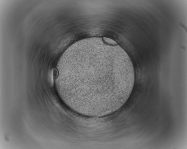 X0000103160028200809121848