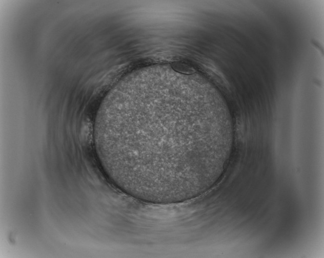 X0000103160029200809121848