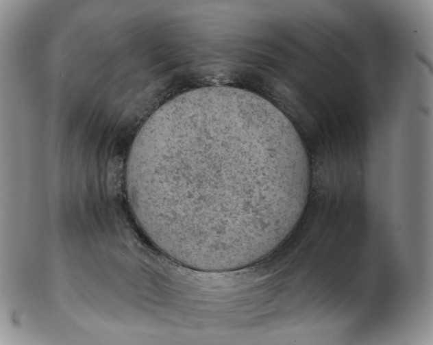 X0000103160030200809121848