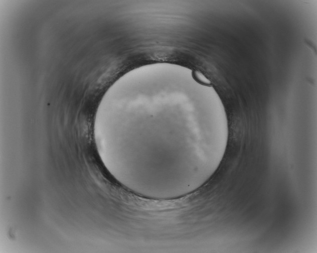 X0000103160031200809121848