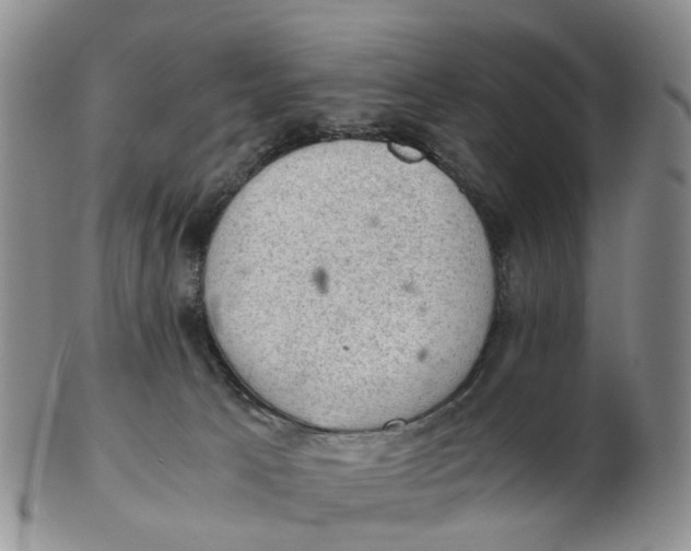 X0000103160033200809121848