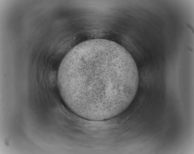 X0000103160034200809121848