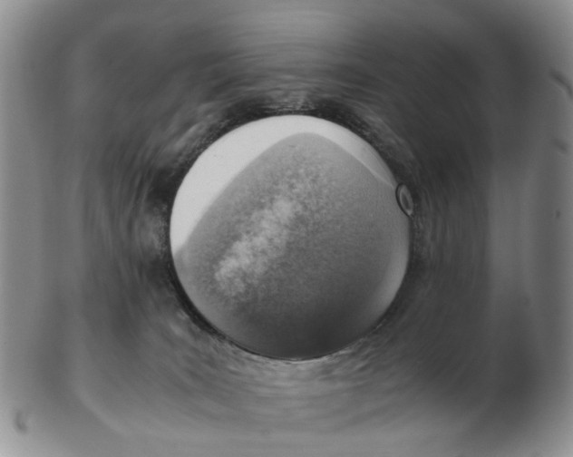 X0000103160035200809121848