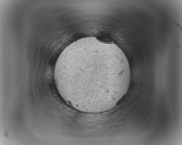 X0000103160037200809121848