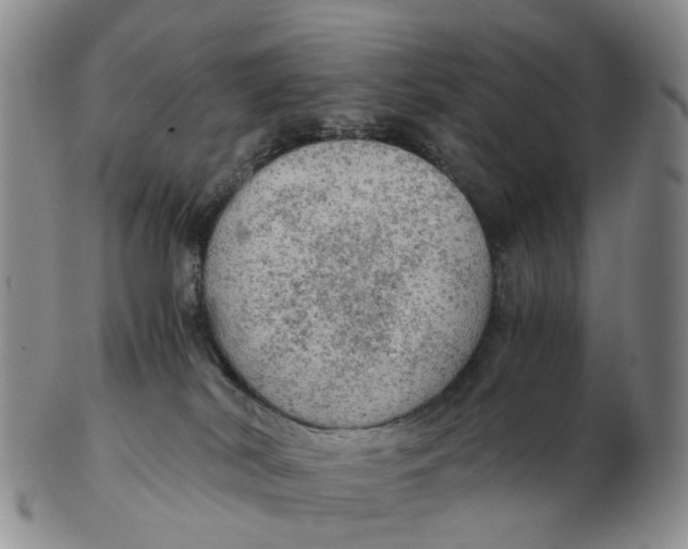 X0000103160038200809121848