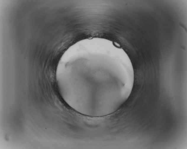 X0000103160039200809121848