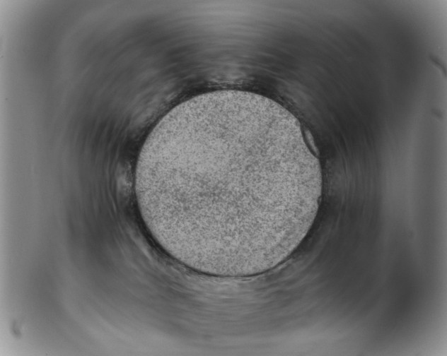 X0000103160040200809121848