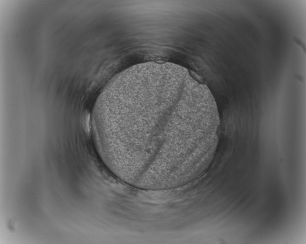 X0000103160041200809121848