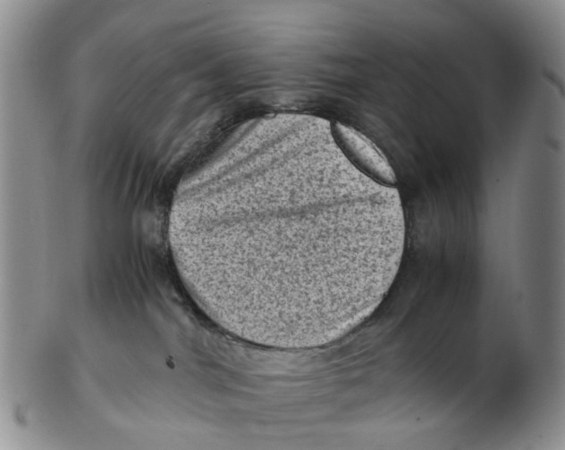 X0000103160044200809121847