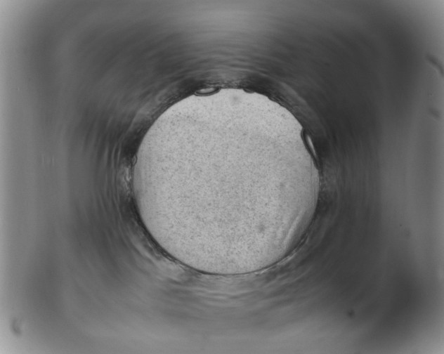 X0000103160045200809121847