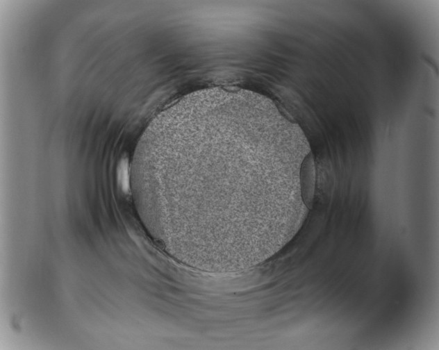 X0000103160046200809121847