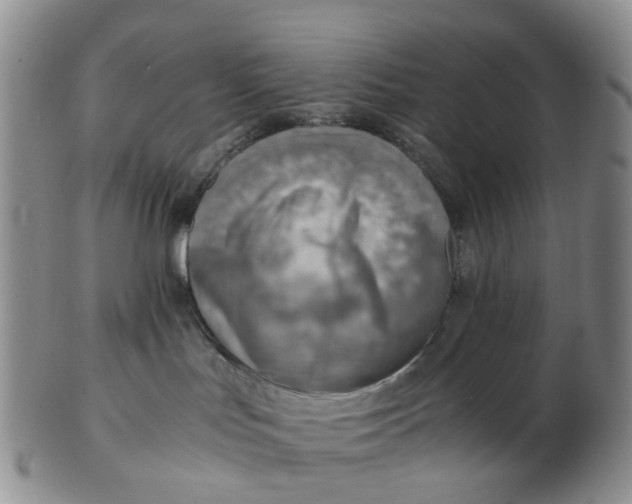 X0000103160047200809121847