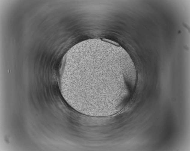 X0000103160048200809121847