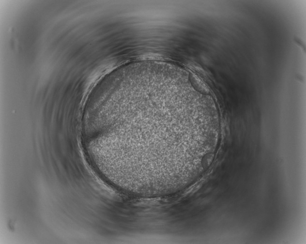 X0000103160049200809121847