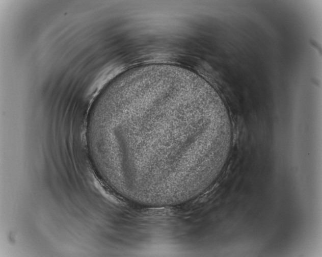 X0000103160050200809121847