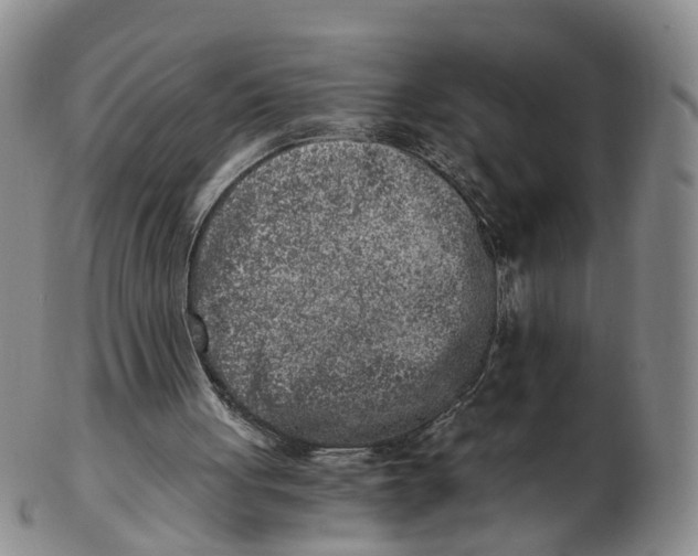 X0000103160051200809121847