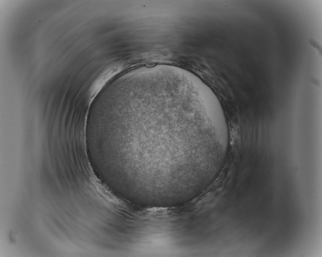 X0000103160052200809121847