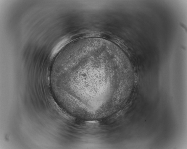 X0000103160053200809121847