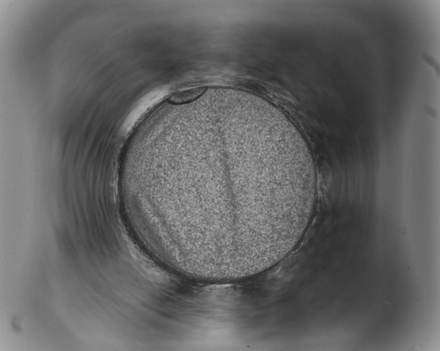 X0000103160054200809121847