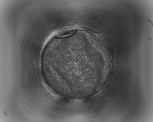 X0000103160056200809121847