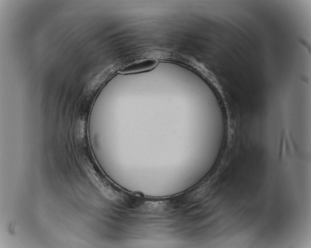 X0000103160057200809121847