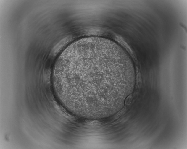 X0000103160058200809121847