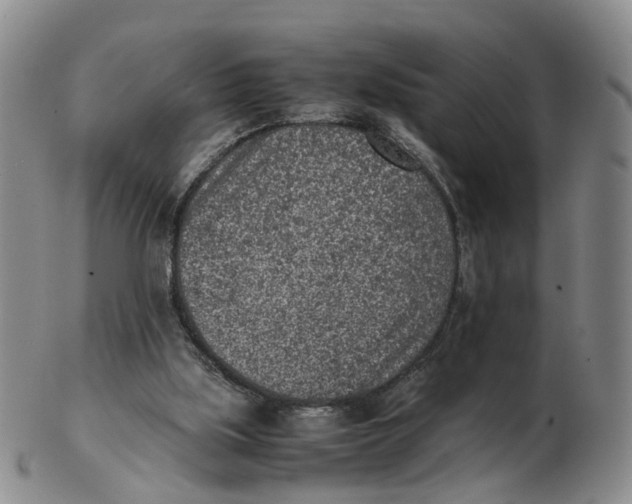 X0000103160059200809121847