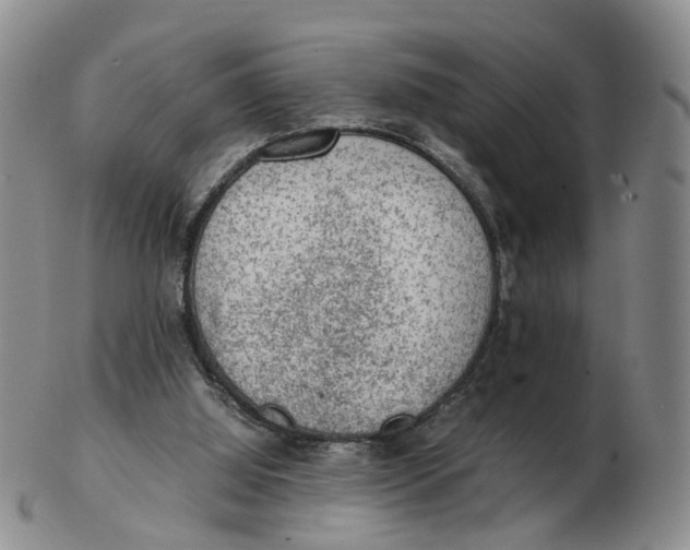 X0000103160060200809121847