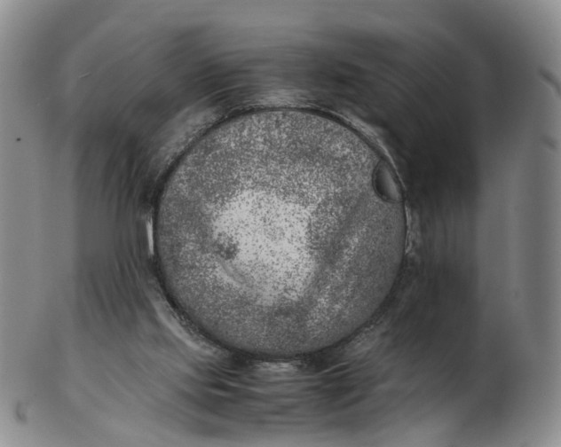 X0000103160061200809121847