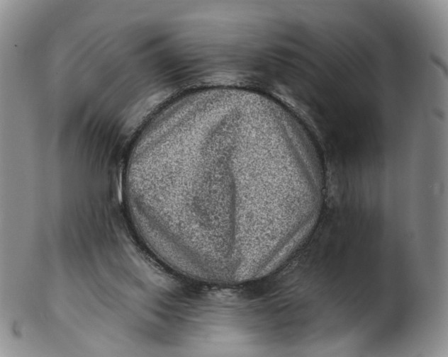 X0000103160062200809121847