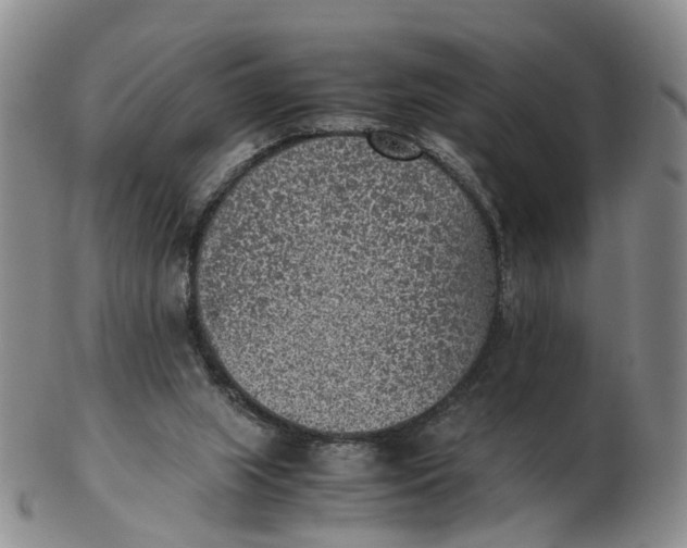 X0000103160063200809121847