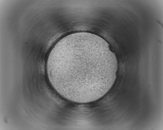 X0000103160064200809121847