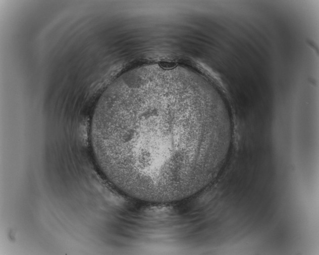 X0000103160065200809121847