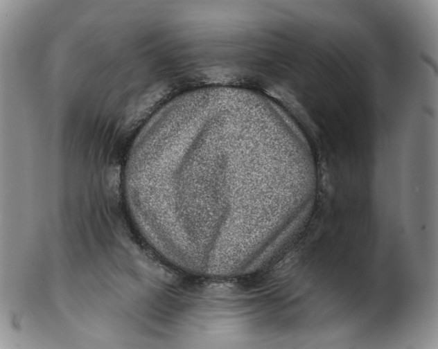 X0000103160066200809121847