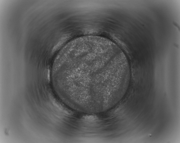 X0000103160067200809121847